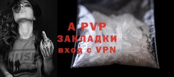 PSILOCYBIN Белоозёрский