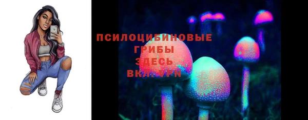 мдпв Балабаново