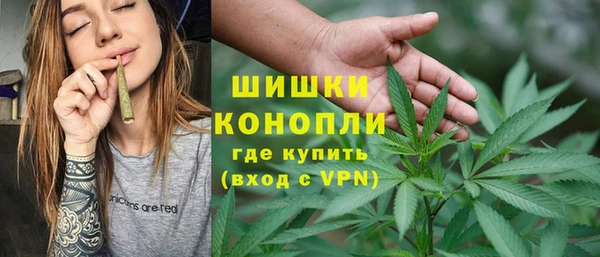 PSILOCYBIN Белоозёрский