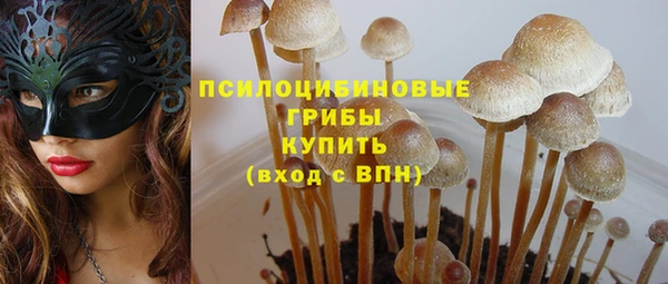 PSILOCYBIN Белоозёрский