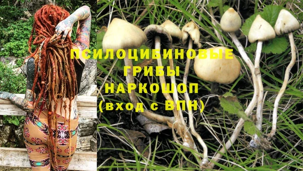молекула духа Белокуриха