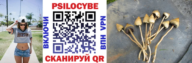 ОМГ ОМГ tor  Белозерск  Галлюциногенные грибы Psilocybe 
